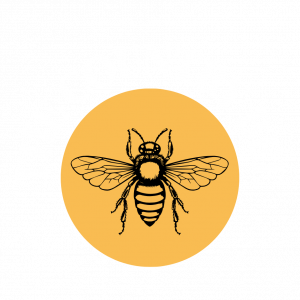 Country Bee Logos 625 X 625 Px 1 300x300